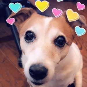 Meet your Posher, Jada